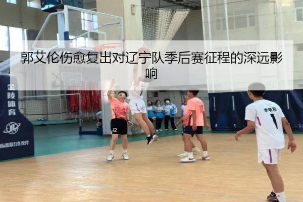 郭艾伦伤愈复出对辽宁队季后赛征程的深远影响